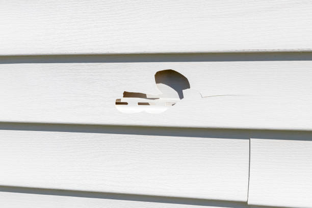 Best Vinyl Siding Installation  in Pine Castle, FL